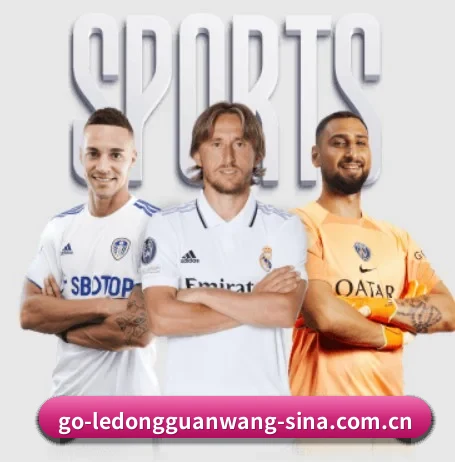 乐动官网 APP(LD SPORTS)